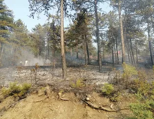 İşte Türkiye'nin orman yangınlarıyla mücadelesi! Devlet seferber oldu
