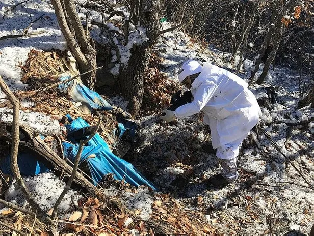 siirtte-pkkli-kalleslere-ait-silah-ve-muhimmat-ele-gecirildi-1609780429534.jpeg Siirt'te PKK'lı kalleşlere ait silah ve mühimmat ele geçirildi-4