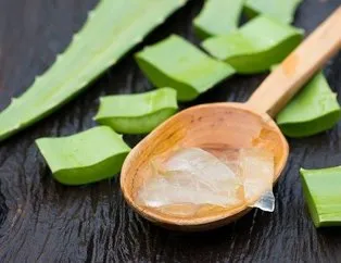 Diş çürüğüne aloe vera