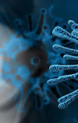 Uzmanlardan dikkat çeken uyarı! Meğer koronavirüsten korunmak için takılan eldivenler...