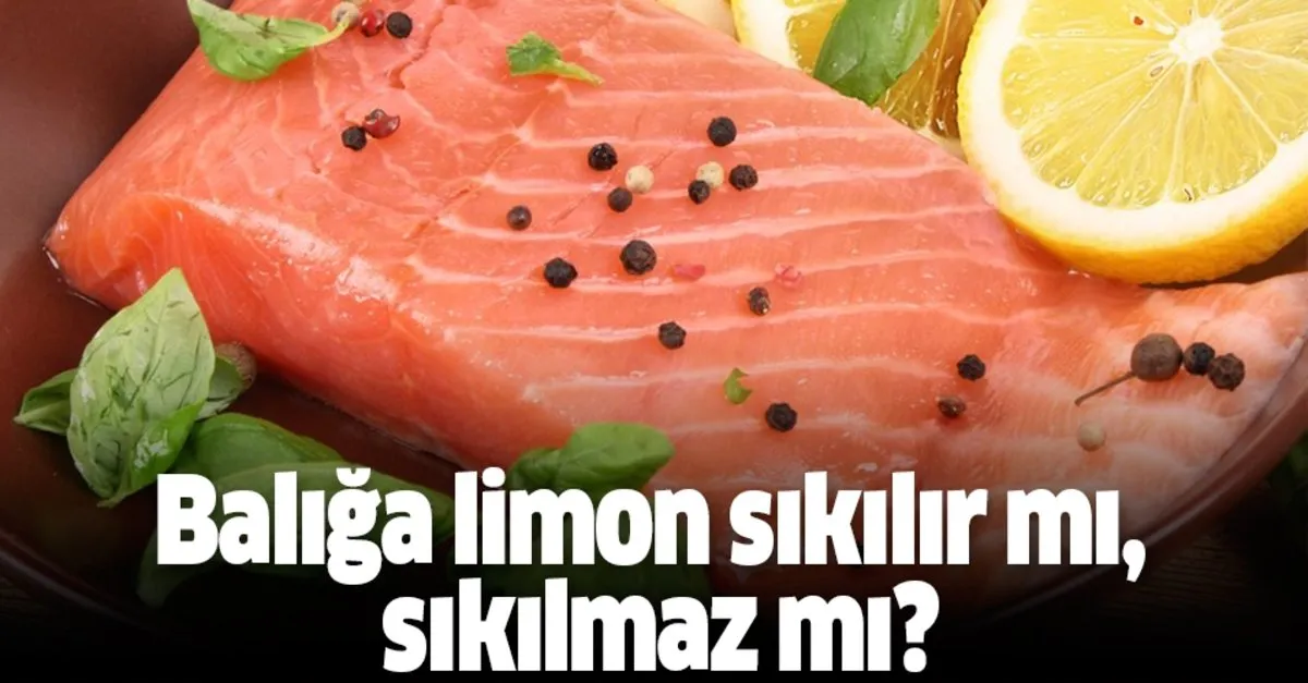 vedat milor anketi baliga limon sikilir mi sikilmaz mi agustos ta hangi balik yenir takvim