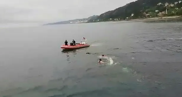 Rize'de denize giren kurbanlık dana Trabzon'da yüzerken bulundu-4