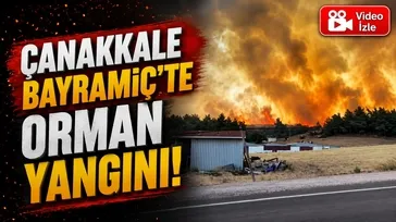 Çanakkale Bayramiç'te orman yangını!