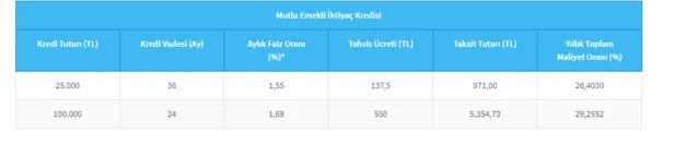 25 bin TL ve 100 bin TL veriliyor! Devlet destekli para hesaplara yatmaya başladı!-2