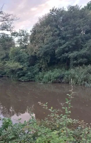 CHP'li İBB Başkanı Ekrem İmamoğlu kaderine terk etti: Cennet Riva ölüyor!