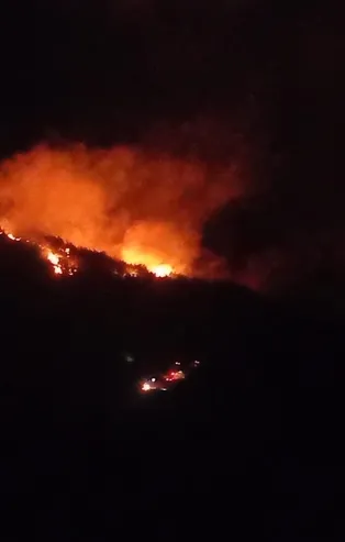 Adana’da orman yangını