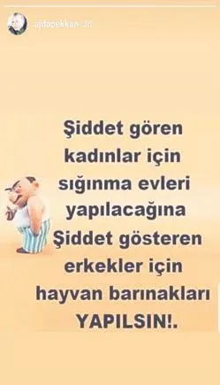 Ajda Pekkan kadınlara şiddet uygulayan erkekleri topa tuttu - 1