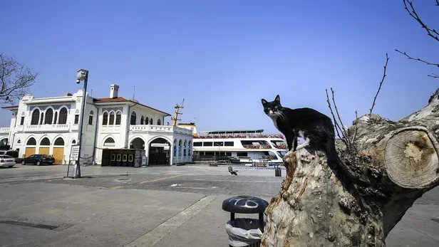 yarin-yasak-var-mi-20-mart-cumartesi-hangi-illerde-sokaga-cikma-yasagi-var-1616163029708.jpg Hafta sonu hangi illerde yasak var? 27-28 Mart Cumartesi-Pazar sokağa çıkma yasağı var mı?-4