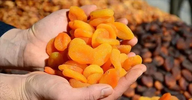 Kemiklere kuru kayısı