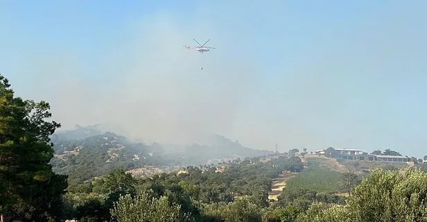 Çanakkale’de orman yangını! Çok sayıda ekip bölgeye sevk edildi