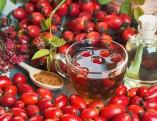 Kabızlığa kuşburnu