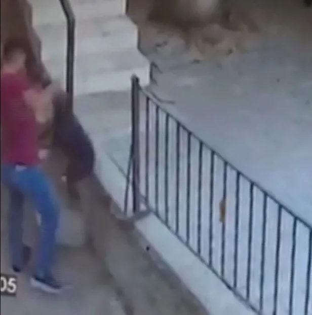 Ankara'da 5 kediyi öldüren köpeğe öldüresiye dayak kamerada-2