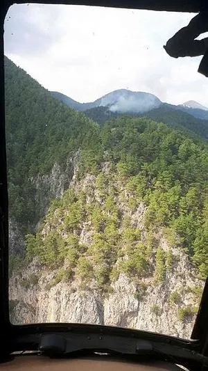Son dakika: Muğla'da orman yangını: 5 dekar ormanlık alan zarar gördü-1