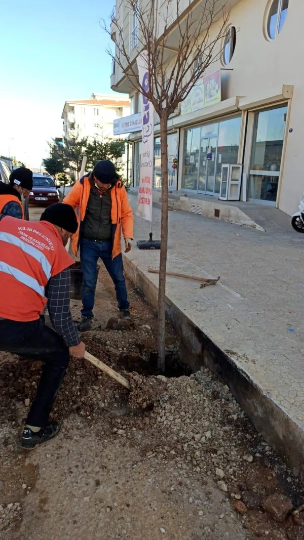 semaver-cay-icmek-icin-agaci-kestiler-belediye-yenisini-dikti-1611241127253.jpg Semaver çay içmek için ağacı kestiler! Belediye önce ceza kesti sonra yenisini dikti-5