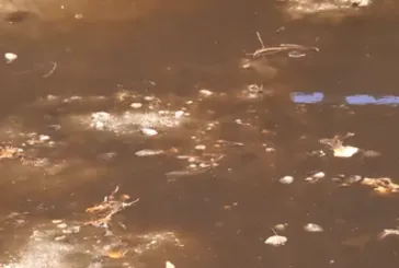 İzmir Çiğli'de simsiyah atık su doğrudan İzmir Körfezi'ne akıyor