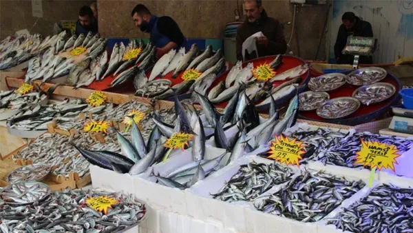 Uzman isimden balık uyarısı! "Eğer tahta kasadaysa dikkat edin"-4