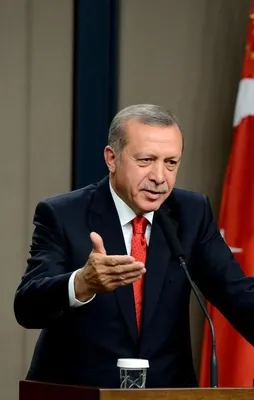 Fransa seçimlerinde Erdoğan rüzgarı