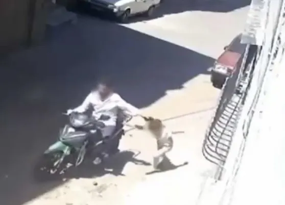 1780784098995.jpeg Sokak ortasında evladına vahşet yaşattı: Gaziantep'te kızını saçından tutup motosikletle sürükleyen cani baba yakalandı-4