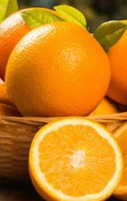 Badem portakal 2017 hoşçakal