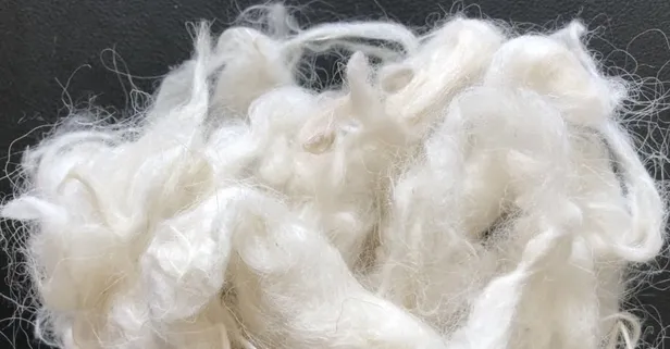 Rüyada yün sermek hayırlı mıdır? Rüyada kirli yün yıkamak neye işarettir, ne anlama gelir?