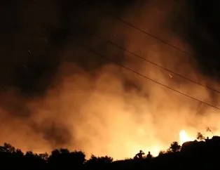 Marmara Adası’ndaki yangının nedeni belli oldu!