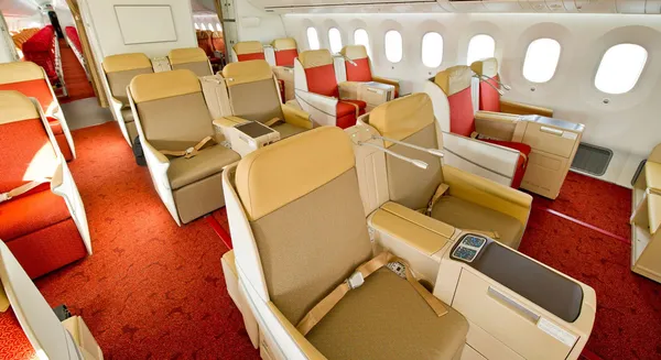 yok-artik-kopegi-icin-ucagin-business-class-bolumundeki-tum-koltuklari-satin-aldi-1632216526987.jpg Yok artık! Köpeği için uçağın business class bölümündeki tüm koltukları satın aldı-5