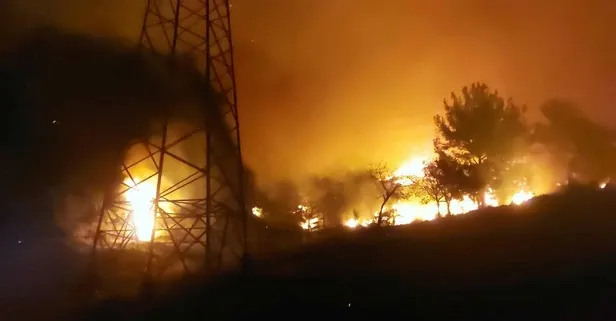 Hatay’da orman yangını!