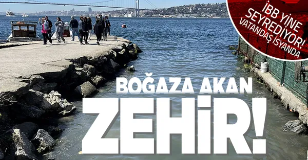 İstanbul Boğazı'na zehir akıyor İBB seyrediyor! Vatandaş Bekar Deresi'ndeki kirliliğe ve kötü kokuya isyan etti-1