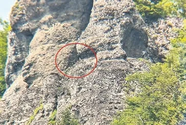 Firari keçiyi AKUT kurtardı