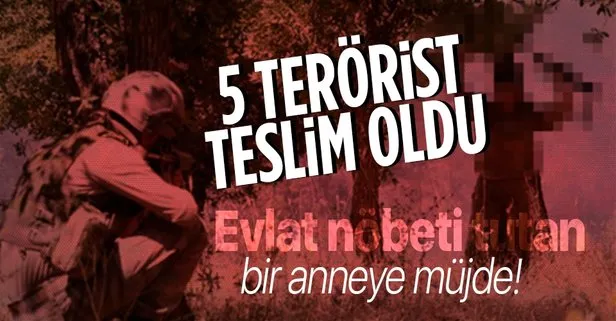 5 terörist Habur'da güvenlik güçlerine teslim oldu