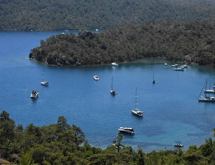 Yüzde 100 zenginlik!