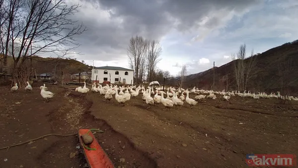 "Yapamazsın" dediler! 300 bin lirayla girdi! 15 bin yavru siparişi aldı - 7