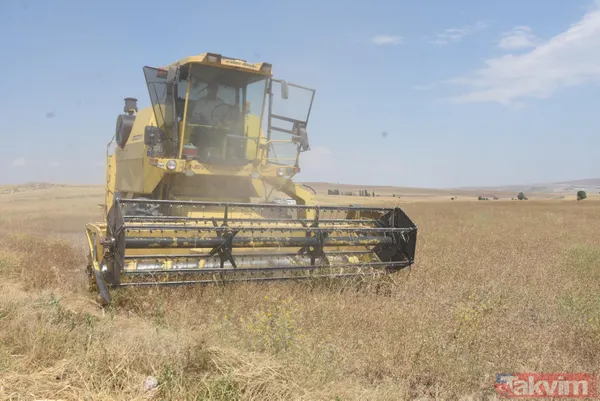Nadasa bırakacaktı pelemir ekti jet yakıtı üretilecek - 6