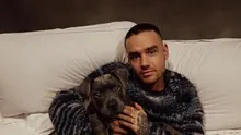 One Direction eski üyesi Liam Payne hayatını kaybetti!
