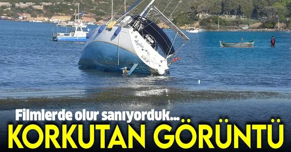Son Dakika Izmir De Korkutan Goruntu Denizin Tastigi Seferihisar Da Deniz Cekildi Takvim