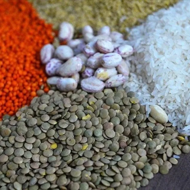 Yüzde 100 yerli bakliyat hamlesi