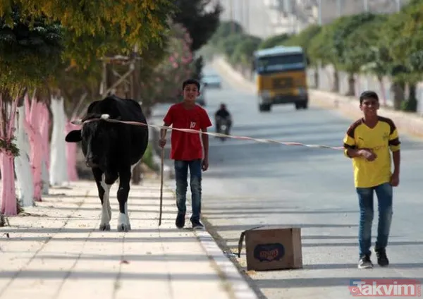 Tel Abyad'da terörün izleri hızla siliniyor - 23