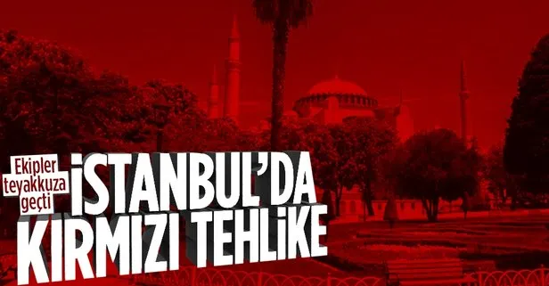 İstanbul’da kırmızı tehlike! 1500 palmiye ağacı kesildi