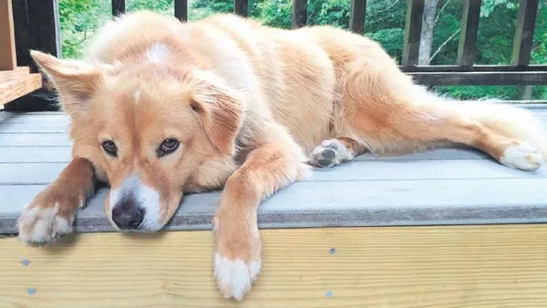 nazmi-arikan-cinayetinde-gizemli-tanik-konustu-yurttan-ve-dunyadan-haberler-1673139499827.jpeg Nazmi Arıkan cinayetinde gizemli tanık konuştu (Yurttan ve dünyadan haberler)-2