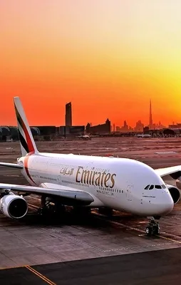 Emirates'in kârı yüzde 82 düştü