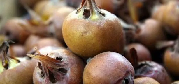 Taşları ve kumu döker