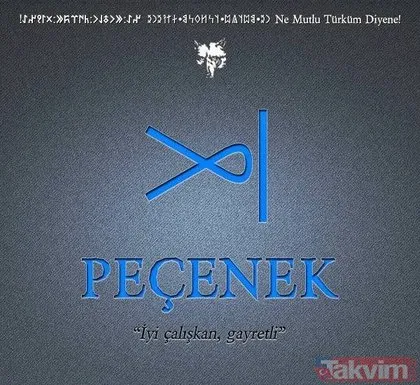 Türklerin kökeni nereden geliyor? İşte Türklerin soyağacı...