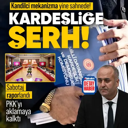 DEM'den komisyon raporunda