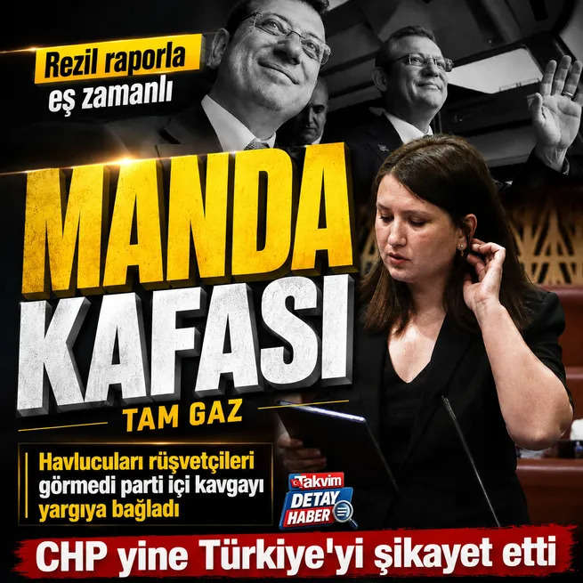 CHPli Gökçe Gökçen Türkiyeyi Avrupaya şikayet etti!