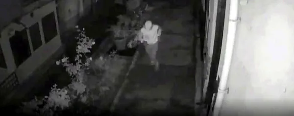 koronavirus-nedeniyle-cezaevinden-izinli-cikan-hukumlu-10-evi-soydu-1594287279576.jpg Koronavirüs nedeniyle cezaevinden izinli çıkan hükümlü, 10 evi soydu-2