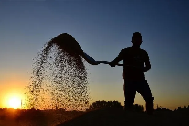 hukumetten-ciftcileri-sevindiren-yenilik-hasat-sigortasi-basladi-primler-artti-1642120326261.jpeg Hükümetten çiftçileri sevindiren yenilik! Hasat sigortası başladı-12