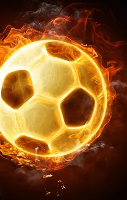 Ve G.Saray yeni hocasını buldu!