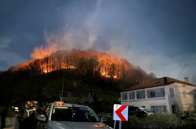 Ordu'da 3 noktada çıkan yangın kontrol altına alındı
