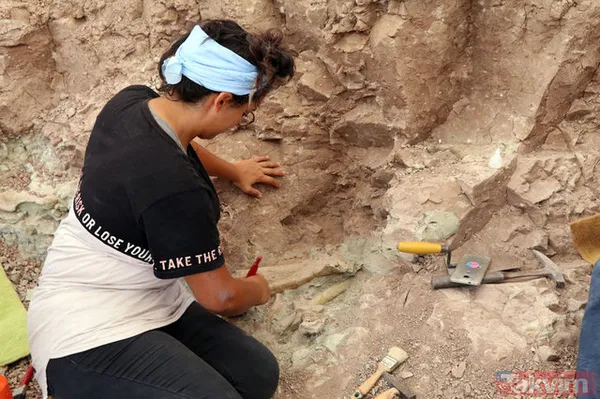 Çankırı'da 8,5 milyon yıllık fosil bulundu! - 21