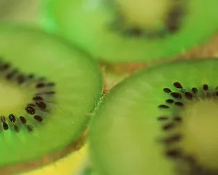 Kivi kanser düşmanı
